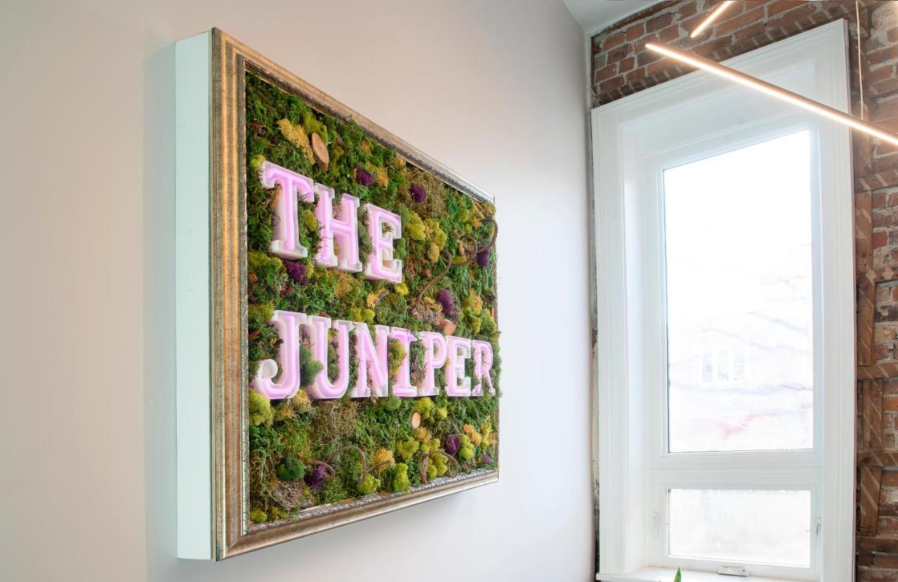 The Juniper Inn Sainte-Catherine Eksteriør bilde